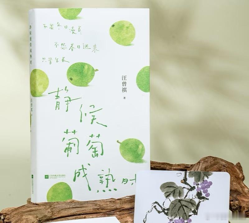 微博年度待改编ip评选pick你心中的改编潜力王 时间窖藏：写给所有在藤蔓下等待