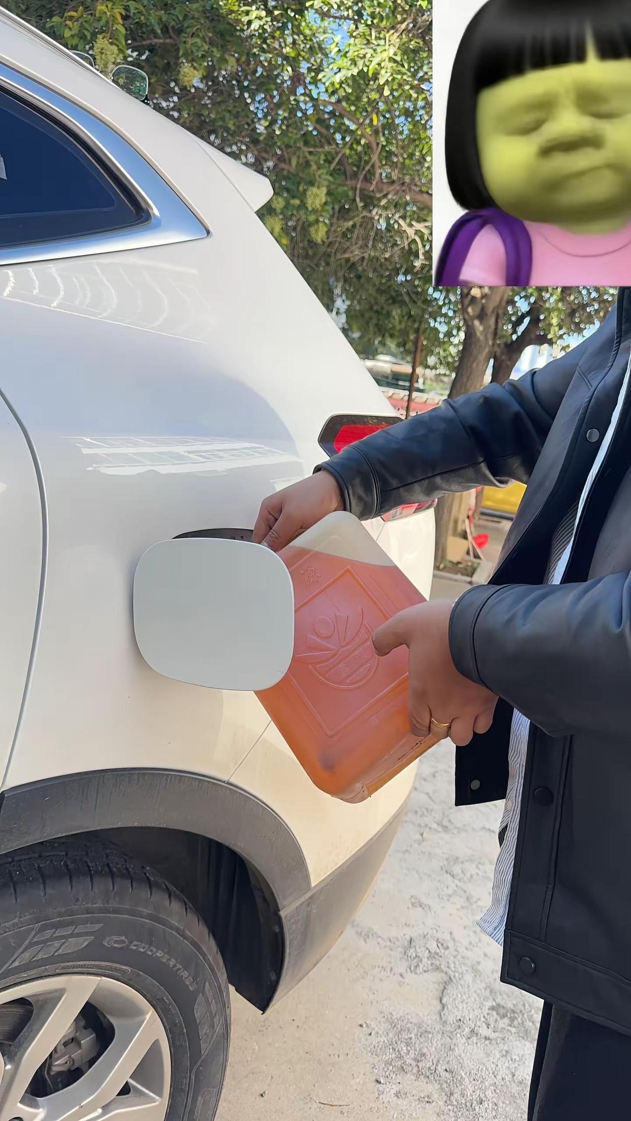 混成这样，你们满意了吧 都加豆油了