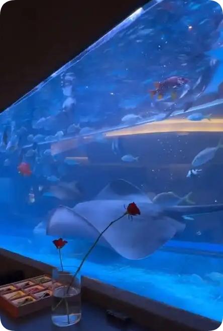 太原市一家火锅店竟然用鱼缸养鲨鱼供人观赏，此举引发了广泛争议和监管挑战。
近年来