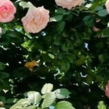 每日一善 阳光信用 每日一善 慈心为民，善举济世。 无缘大慈，同体大悲。 众善奉