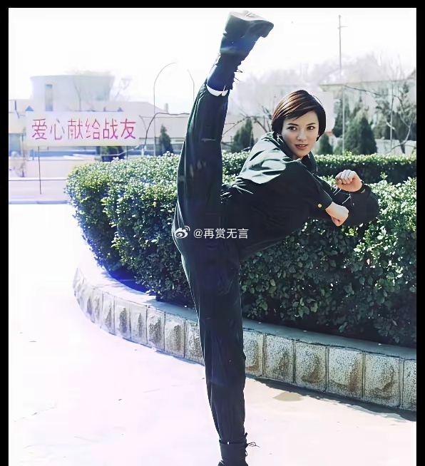 当年张卫健饰演的沈万三还看不上她 