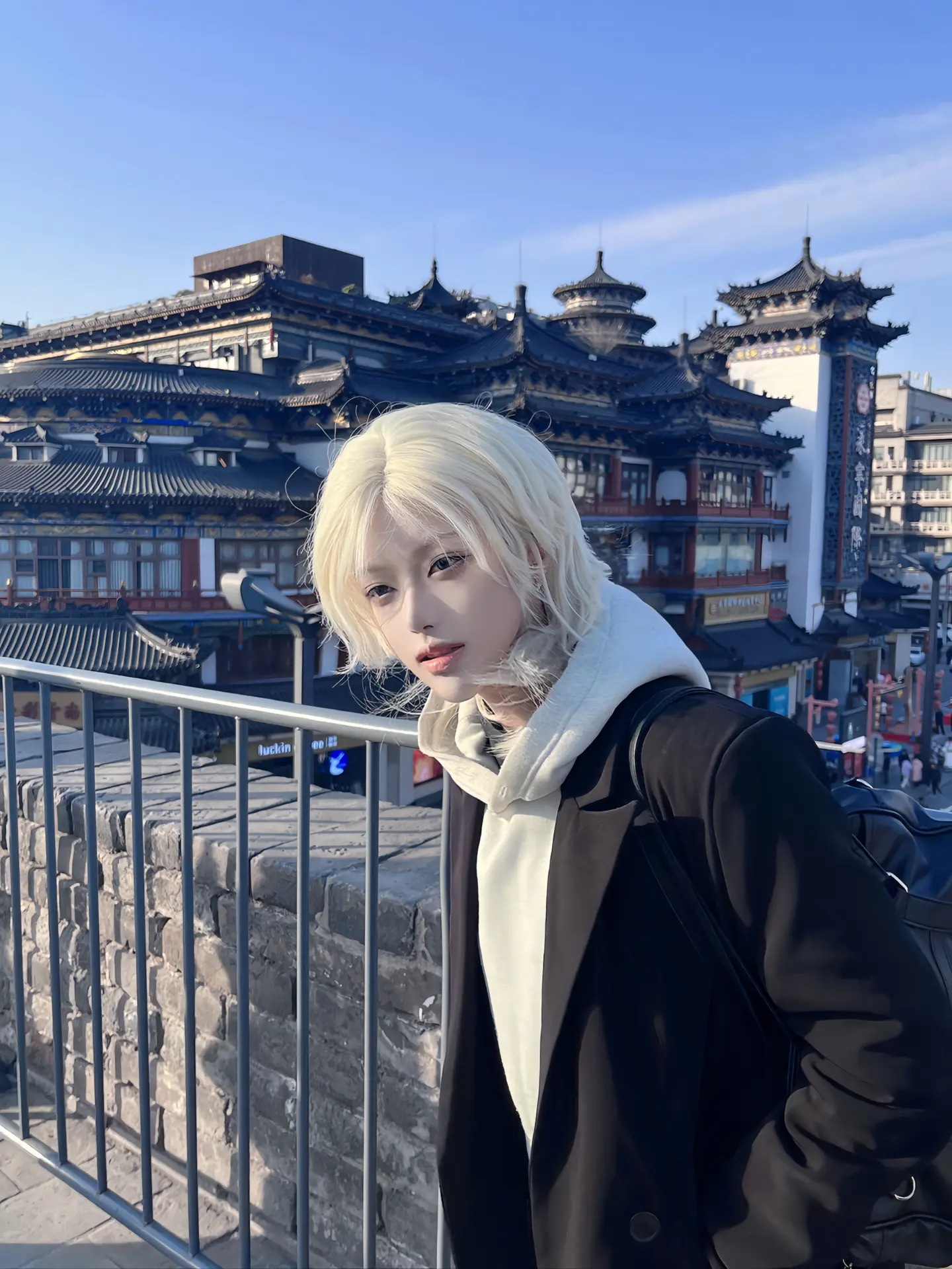 DzD旅行青蛙版 慢更一下