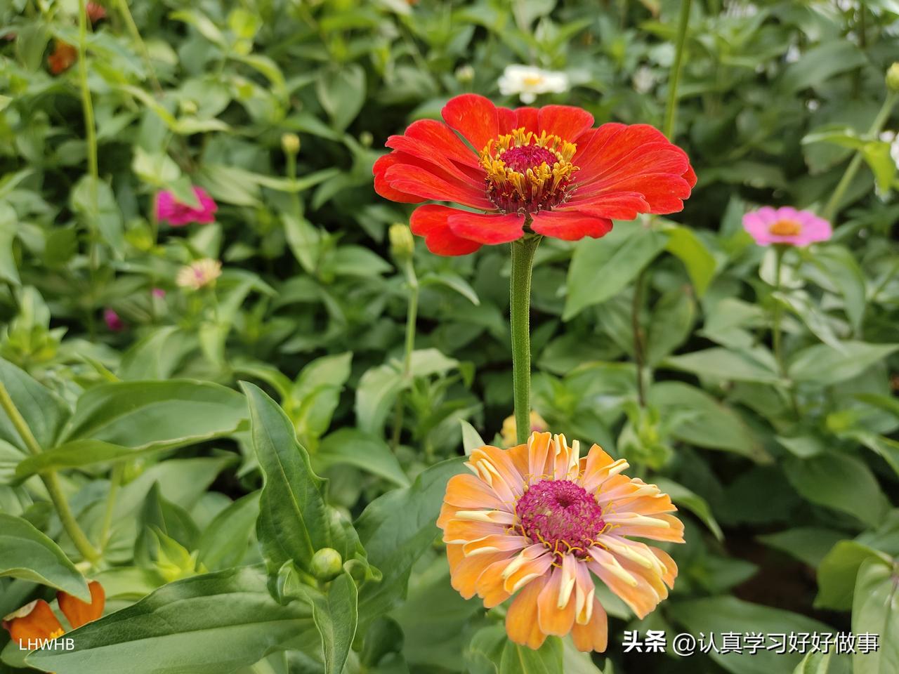 来报恩的孩子，身上有4个特质!

1、情感敏锐，心疼父母：
能感受家人情绪，体谅