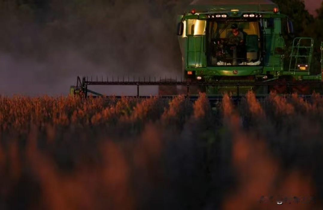 【中美贸易缓和，巴西大豆价格回落，中国买家开始大量购入巴西大豆】

（路透社）—