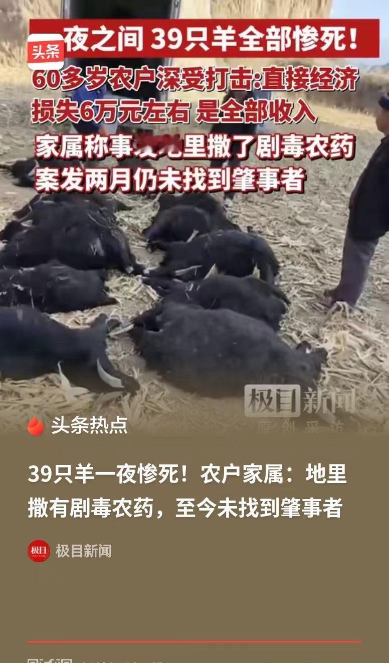 天理难容！4月30日齐鲁晚报·果然视频报道，山西霍州两位年过花甲的农户，家里 3