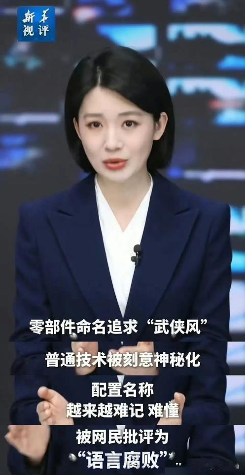 武侠风零部件命名？看着花里胡哨，实则重营销轻研发，净玩虚的！
这说的肯定不是比亚