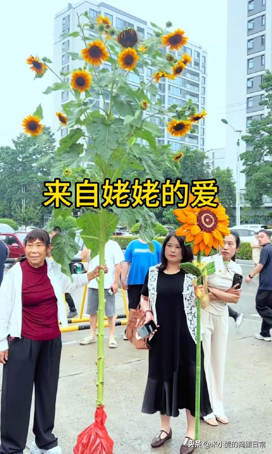 来自姥姥的爱根深蒂固，连根拔起一举夺魁!
中考考场外暖心一幕，真正把“一举夺魁”