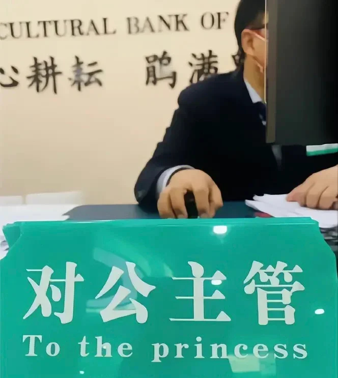 比中行更权威的翻译出现了