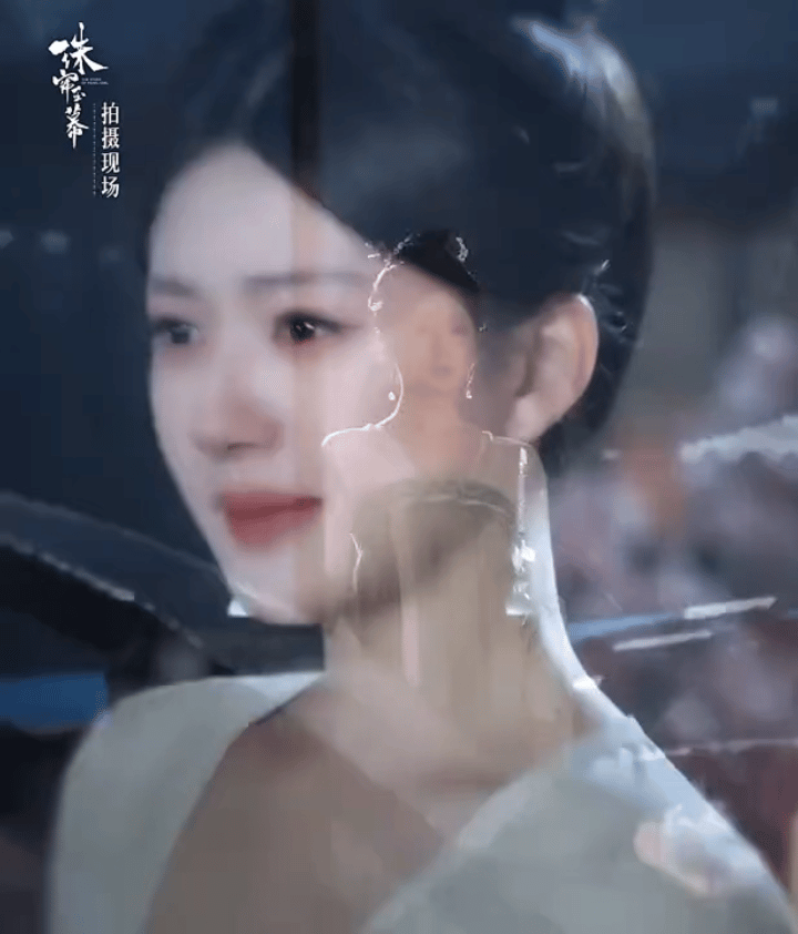 看这宣传，赵露思两部剧都没有诈骗啊 ​​​