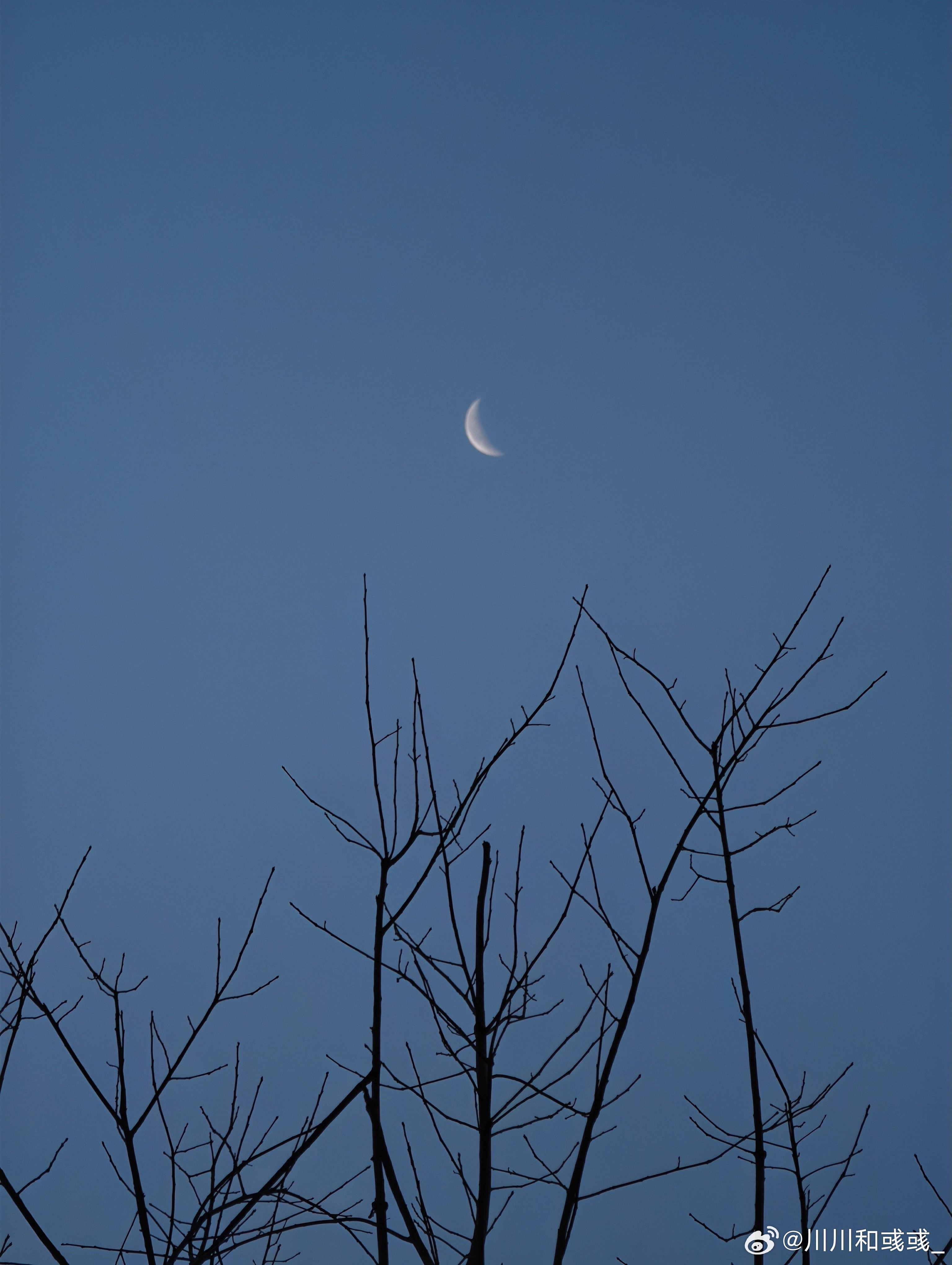 大家早哇，今天应该是个好天气