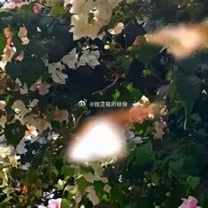 入秋的江城，总被连绵的阴雨裹着。灰蒙蒙的天压在高楼顶端，车流堵在宽阔的马路上，喇