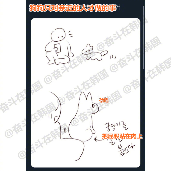 据说小狗只对喜欢的人才会这样 ​​​海外新鲜事 热点现场 ​​​