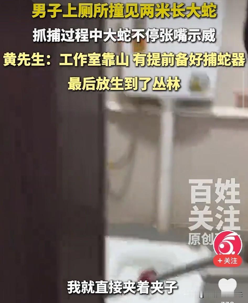 太淡定了！惠州，一条近2米长大蛇卡在厕所门缝，男子回屋拿出捕蛇钳，夹住蛇头七寸，