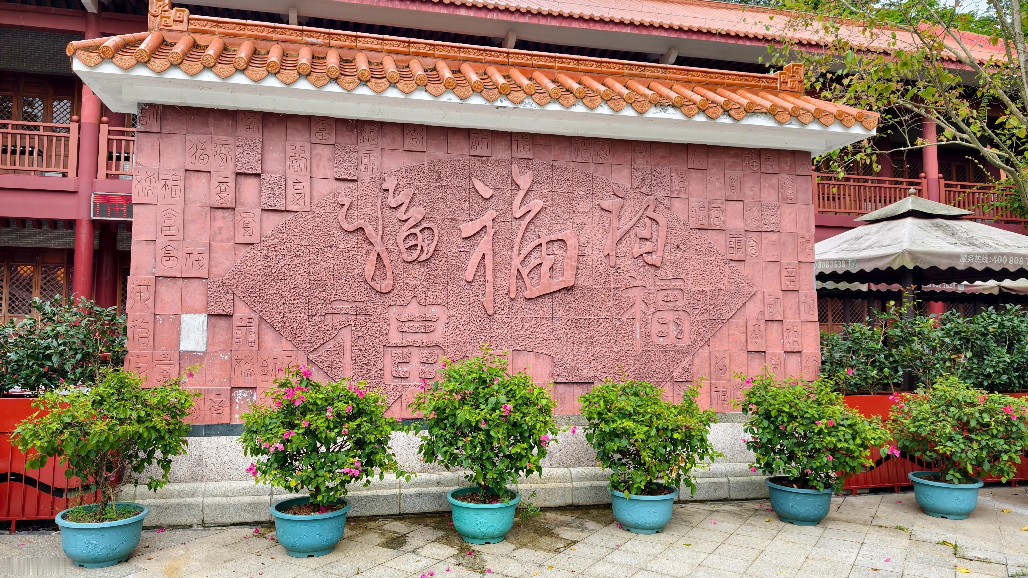 特意来凤凰山吃素食，环境挺好。 深圳·凤凰山森林公园