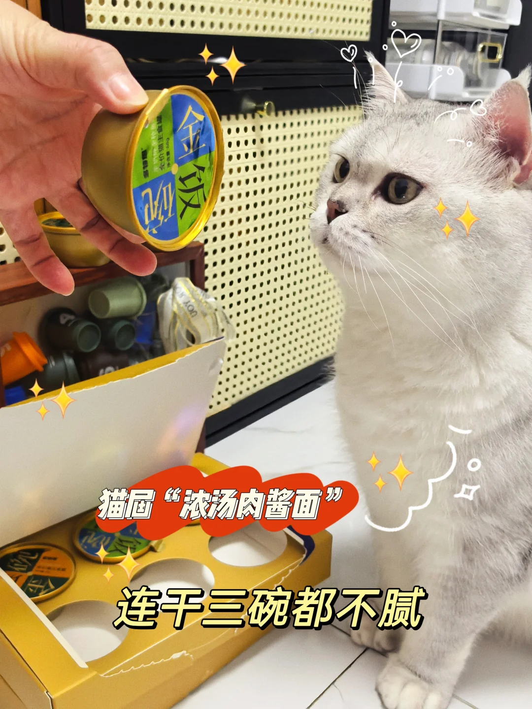 这罐头我家猫连汤带肉舔到飞起