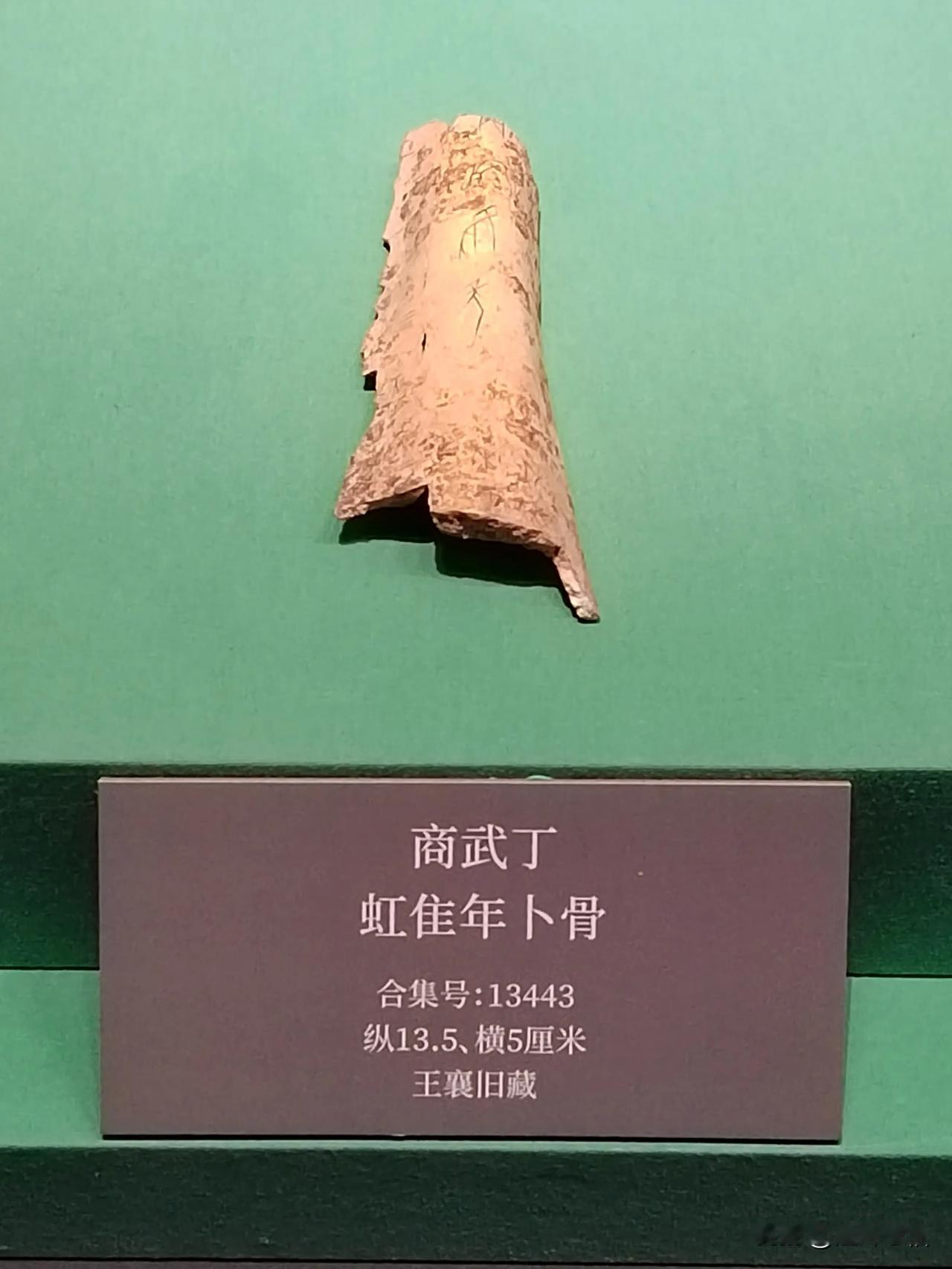 王入大邑商（十二）
——天津博物馆藏武丁卜辞探亲展