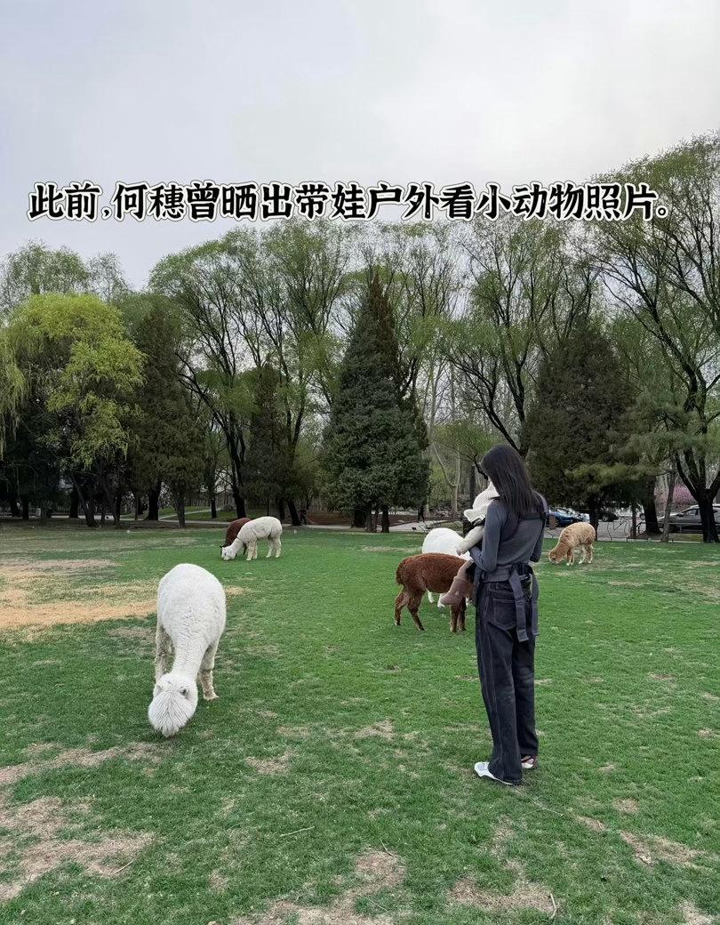 脸上扎满针还能这么淡定，不愧是走过国际T台的人。