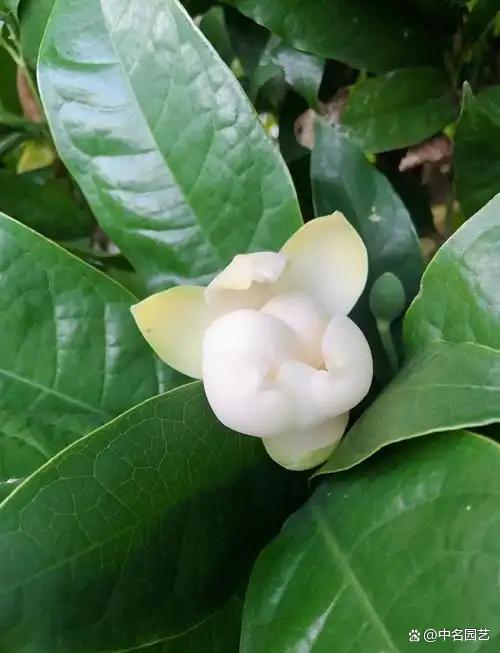 1685年6月23日，纳兰性德与好友梁佩兰、顾贞观、姜宸英、吴雯等人聚会于其宅之