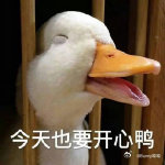高考生分享用AI练英语心得高考结束考生分享实用学习妙招AI 帮着汇总日常练习里的
