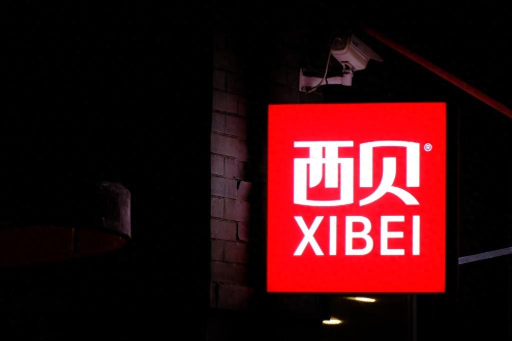 热点观点畅聊会西贝到了到了今天这种地步，肯定是多方面原因造成的，不会仅仅是因为罗