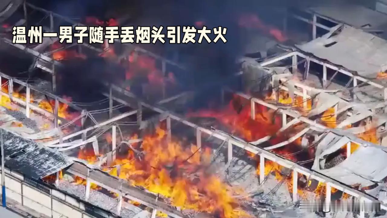 在浙江温州乐清蒲岐镇，一个看似平常的工作日，却因一个不经意的举动，酿成了一场令人