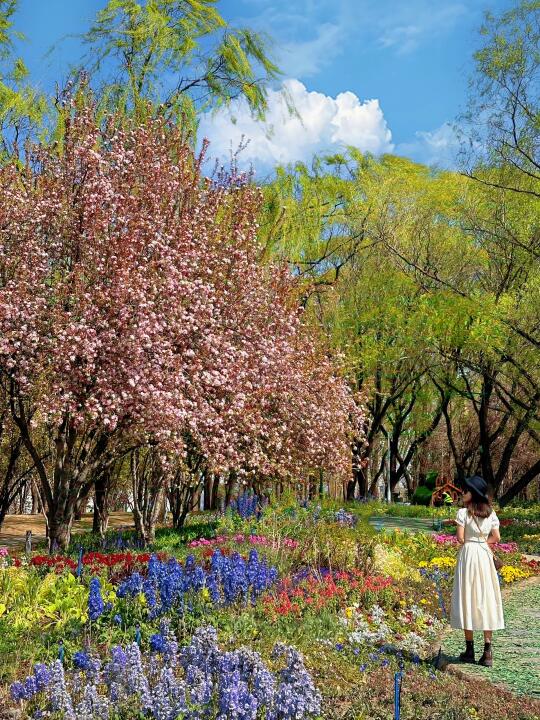 4.1海淀公园实况，莫奈公园已上线