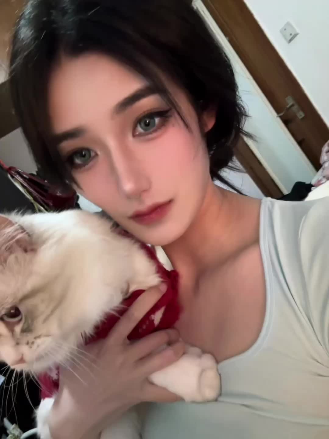 我和我的猫