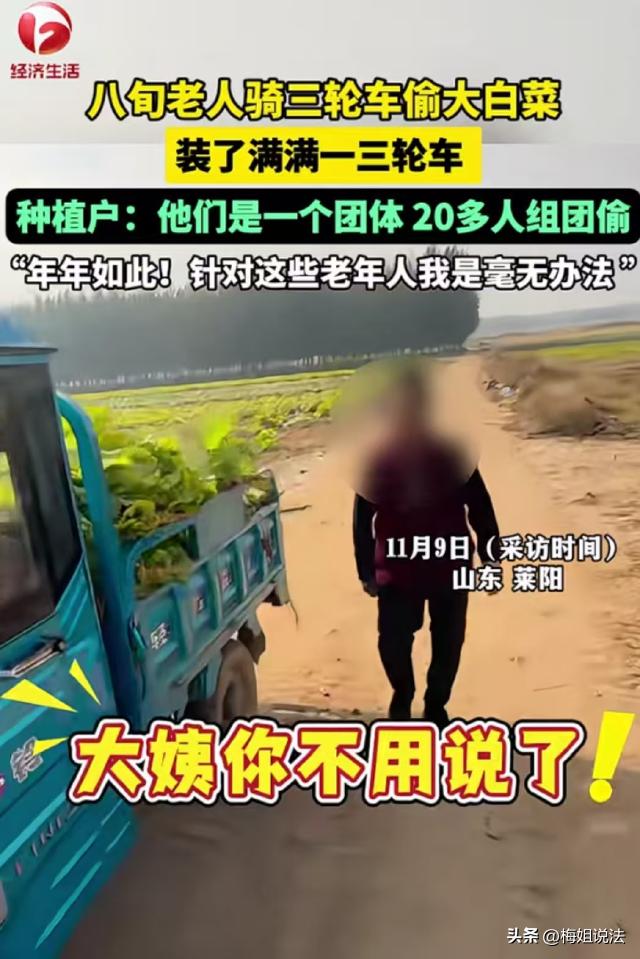 山东莱阳，姜先生包了一块地，不管他种什么，每次快要成熟，就有一伙20来个老年人开