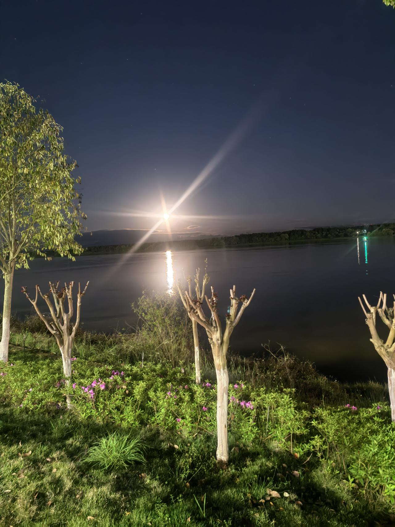 春日生活打卡季