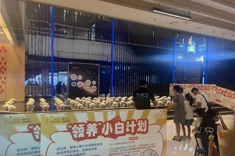 赶紧赶紧来领养小白回家，来五象航洋城免费领养小白
赶紧赶紧来领养小白回家，来五象