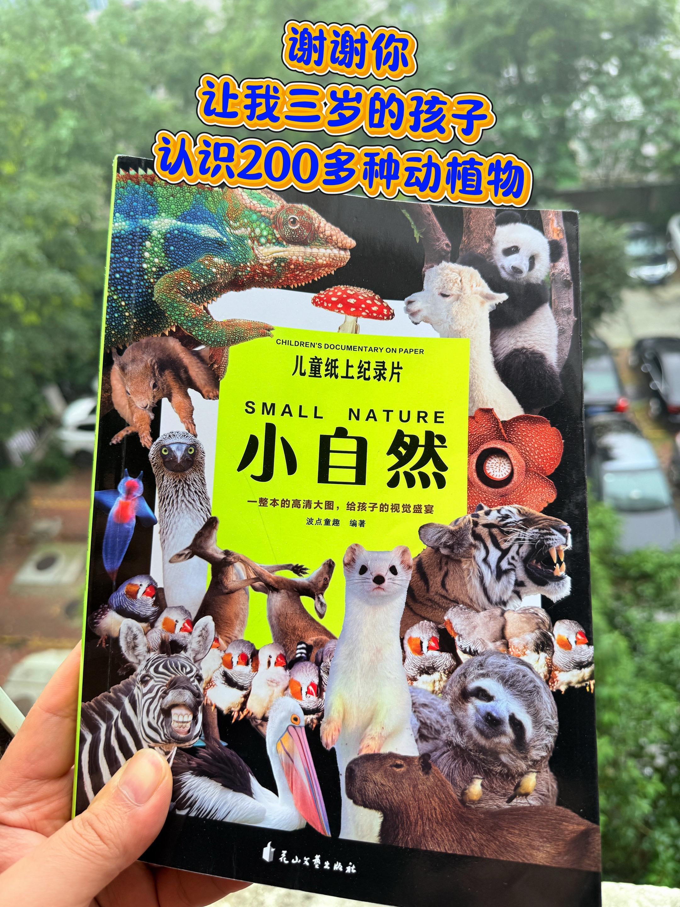 儿童纸上纪录片🔥。谢谢你，让我3岁儿子认识200多种动植物！高清自然...
