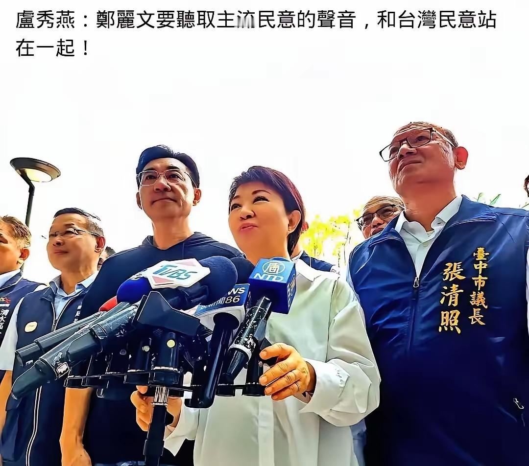 矫情，这是最近对于台湾政坛主流政党面对中国大陆时言行的直观感受，也许是由于在大陆