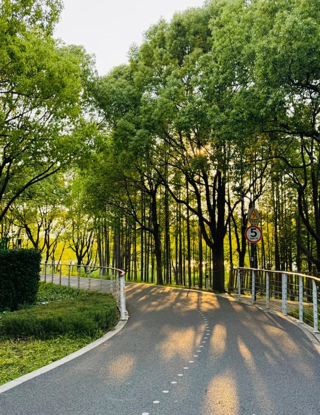 横琴简直是骑行天选之地！！！！
喜欢骑行的朋友们一定要码住横琴的这条线路！！
人