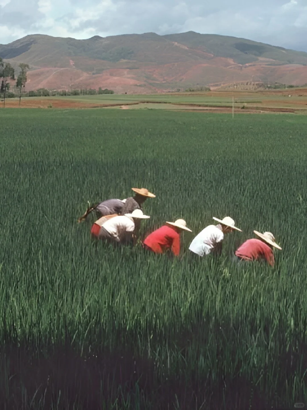 美国摄影师伊芙·阿诺德拍摄的1979年的中国