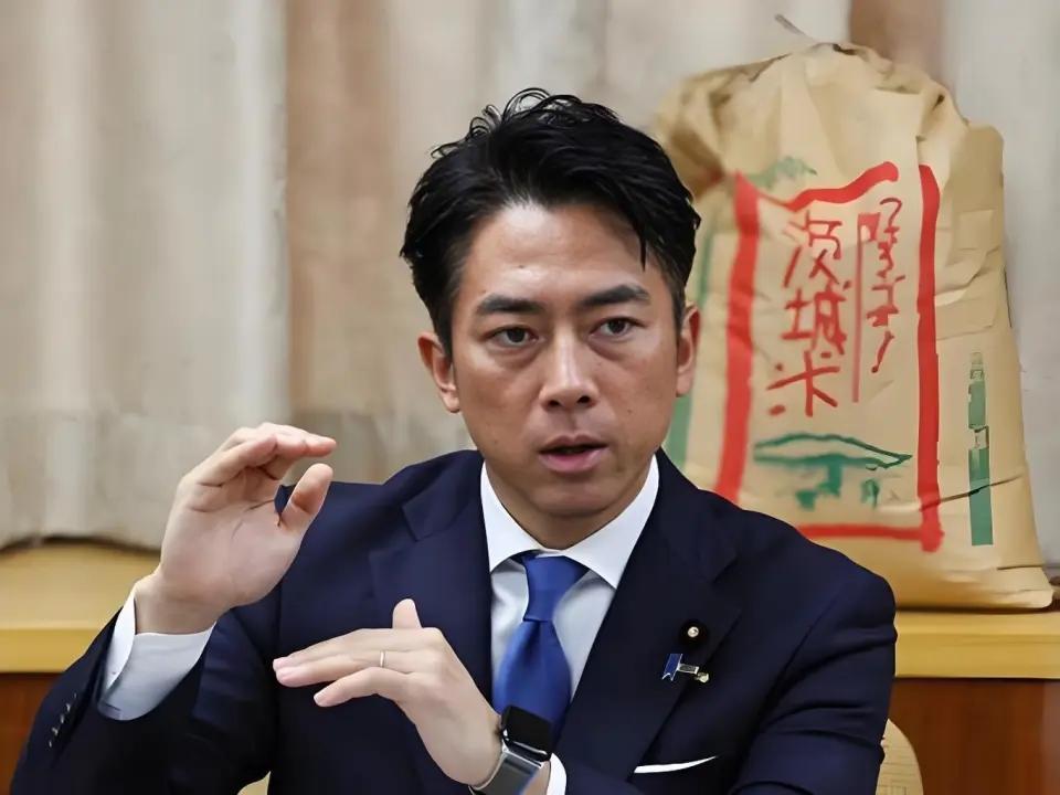日本防卫大臣有多少“传奇和绰号”，政坛第一天才，废话文学代表。
小泉进次郎和悠仁