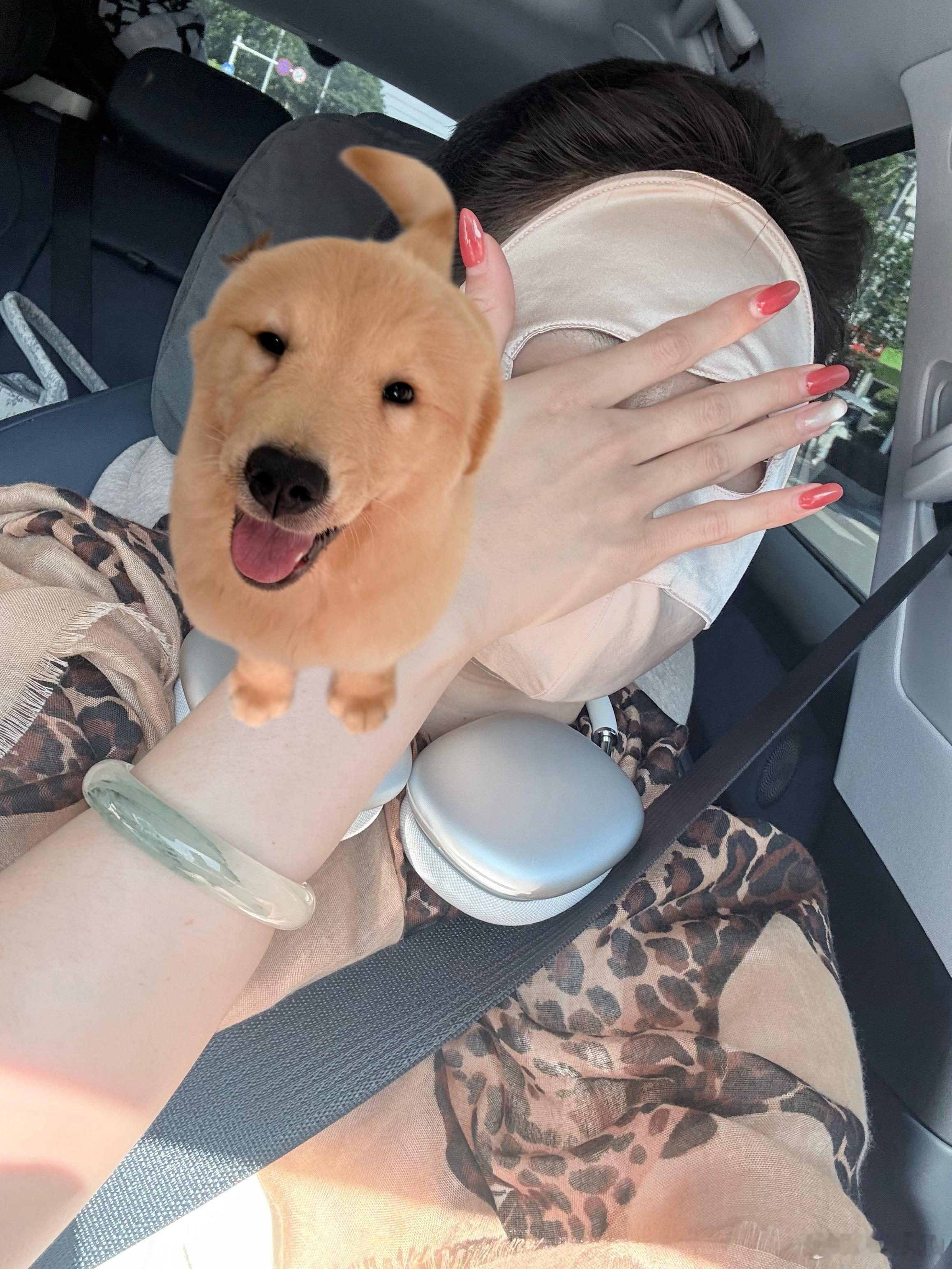 gogogo出发啦一马归一码