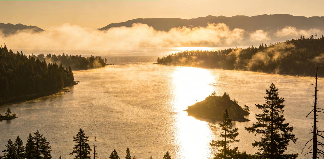 别让纠结内耗，握碎掌心的流沙
 
我们总以为，握紧了就能留住想要的一切，就像捧着