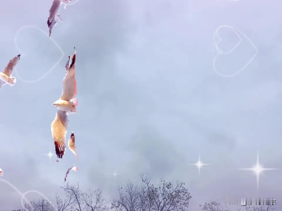 晒图笔记大赛 家人们，我也来参加晒图笔记大赛啦！给你们看看我旅途中拍的绝美照片。