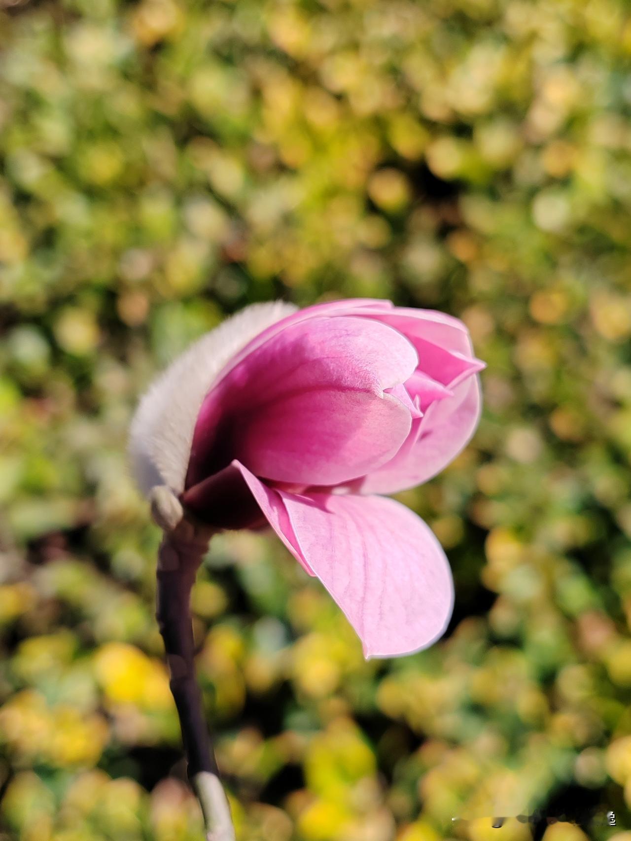 　　微笑着接受造物主的考验
图/文：鱼脊拓荒客

       一帆风顺，无忧无