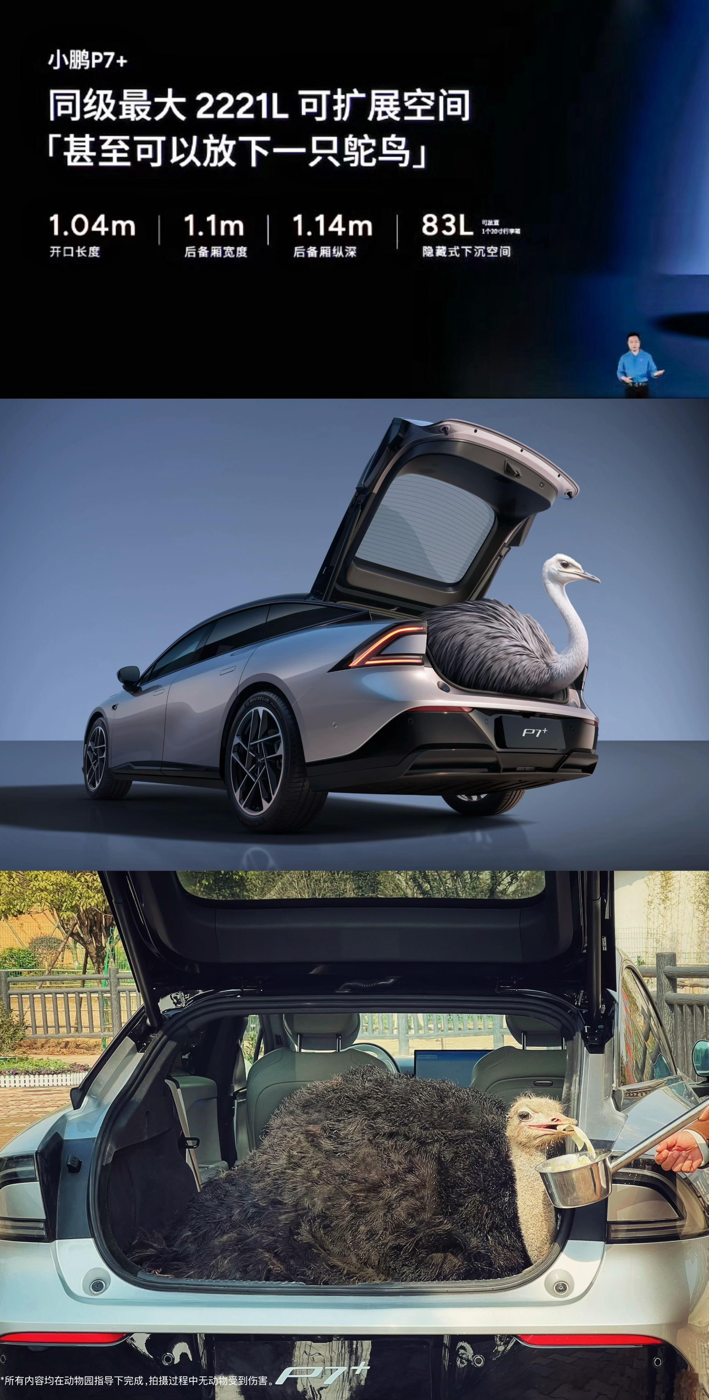 小鹏汽车又来整活了，这次放了个鸵鸟？，鸵鸟。。。P7+表示，我真的有这个技能？？