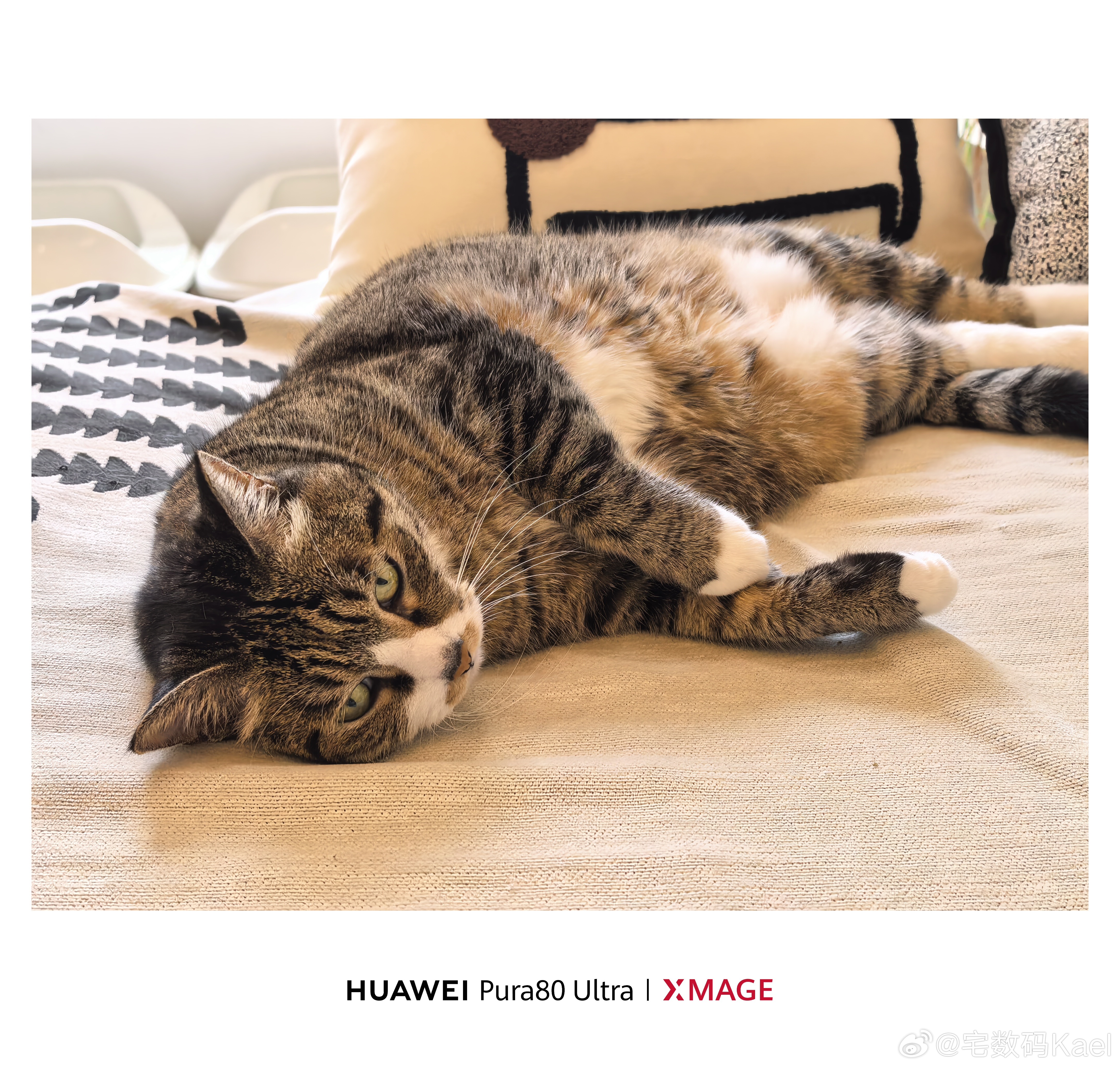 每天不是在床上躺平，就是在沙发躺平[怒骂] ​​​