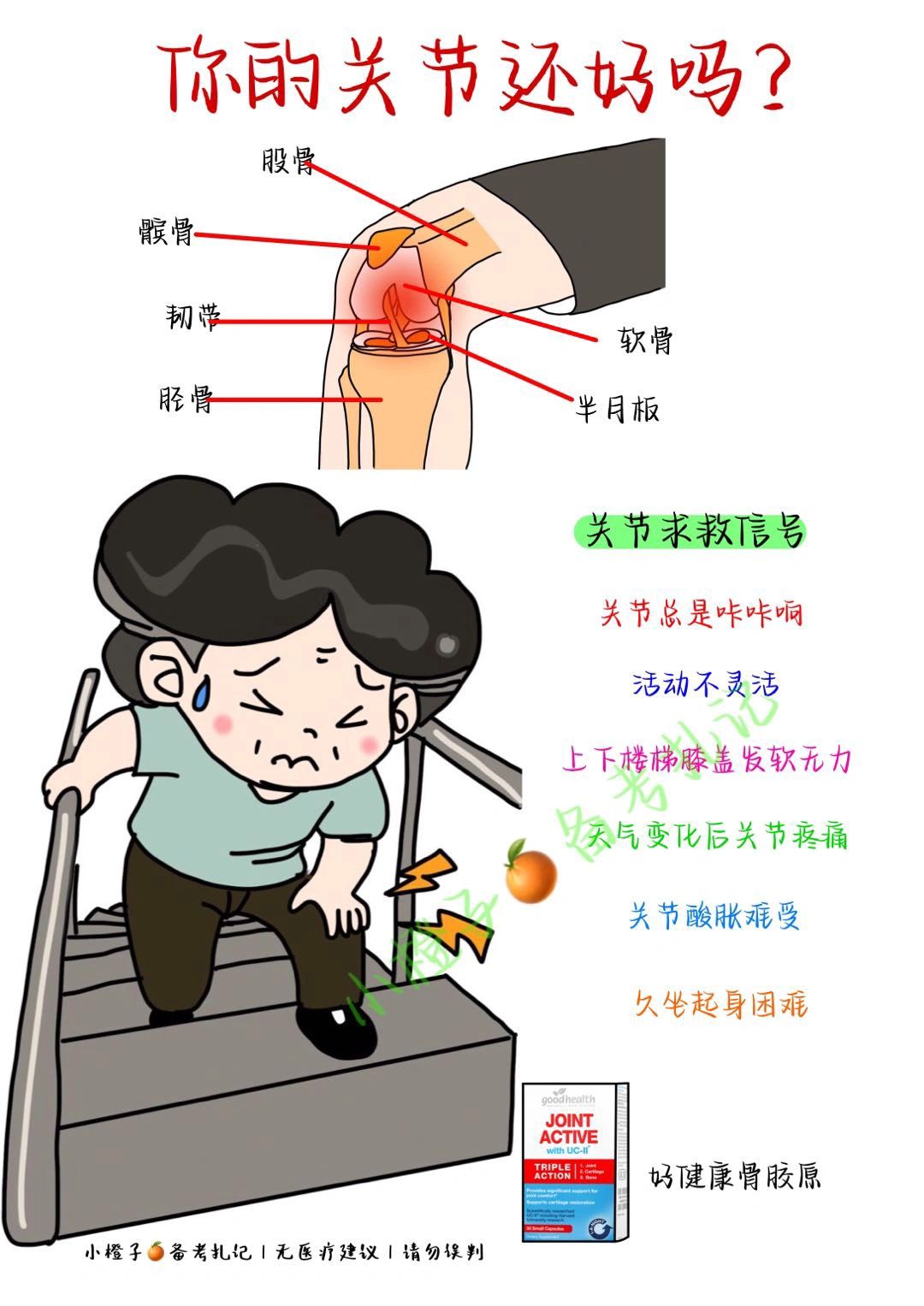 膝盖不适😫｜这份养护攻略请查收✅