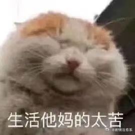 坚持喝牛奶vs从不喝牛奶以前一喝牛奶就拉肚子，慢慢少量饮用之后成功脱敏，现在每天