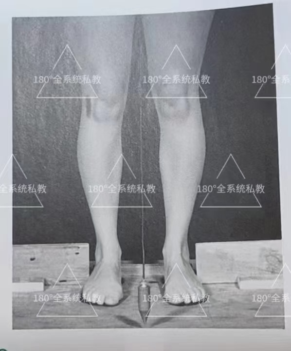 “你的腿型属于哪一种”？