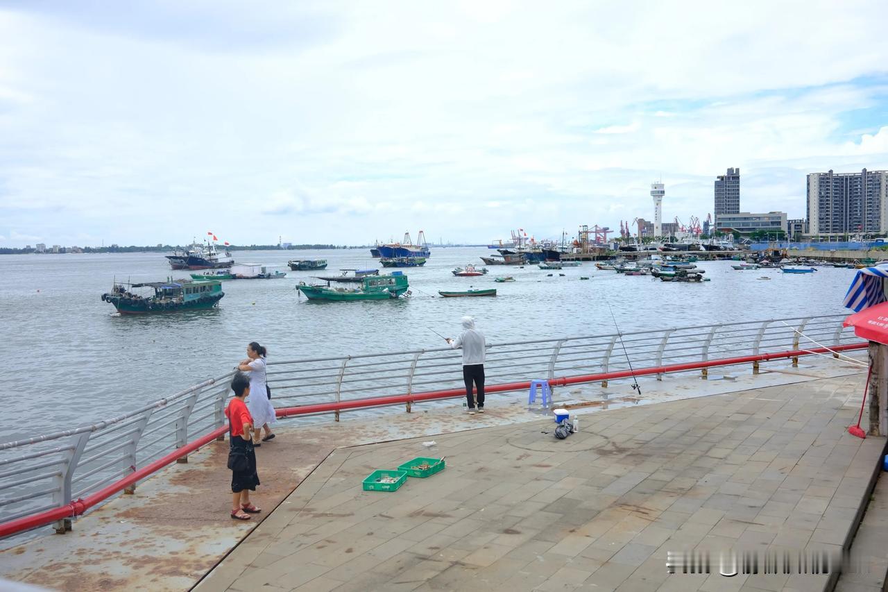 湛江旅游|来吃海鲜自由的渔人码头#沉醉于海滨之美# #走在海湾#