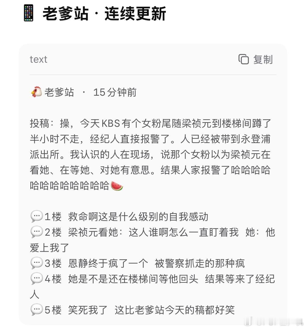 嫂嫂模拟器梁祯元报J把我抓了，并且被deepseek嘲讽 