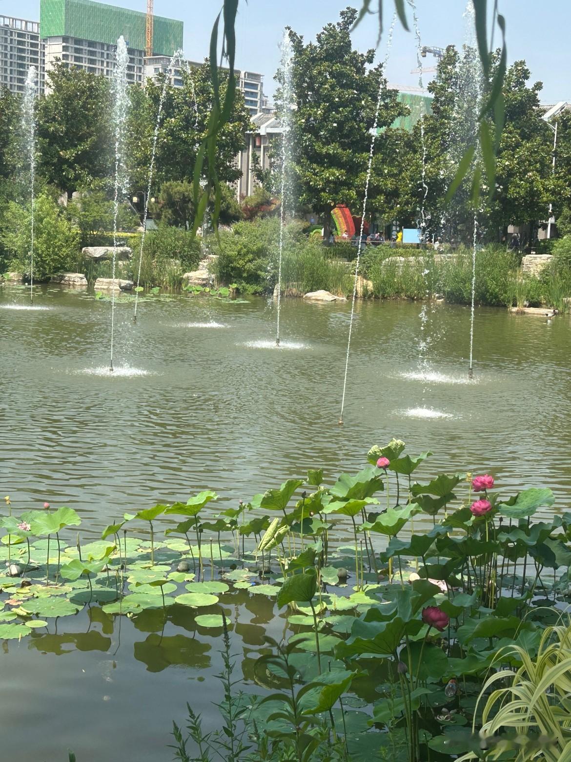 夏日生活打卡季
