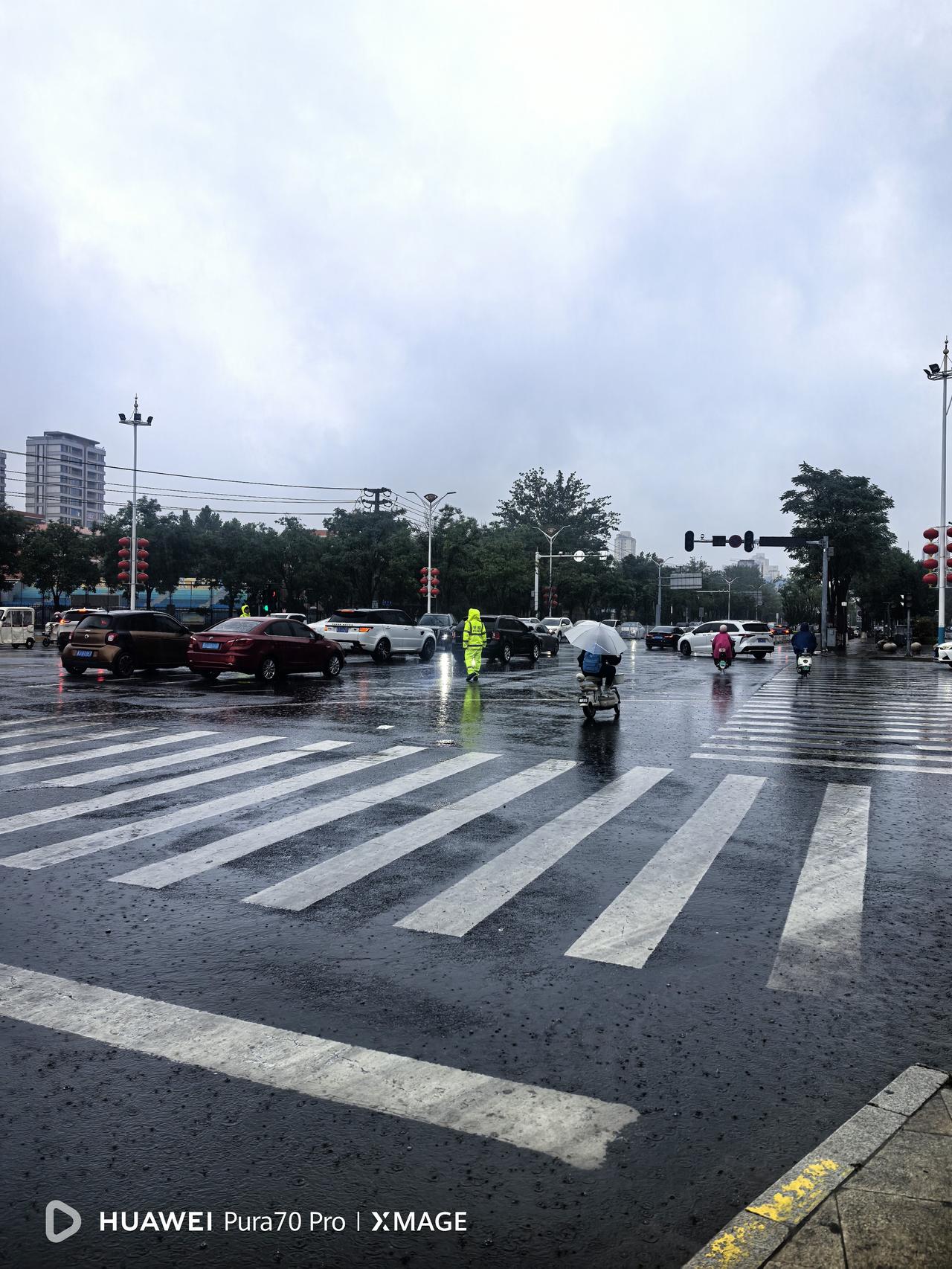 雨从凌晨开始下，而且越下越大。今天是星期六，上午外孙要到培训班去学习，还在离家不