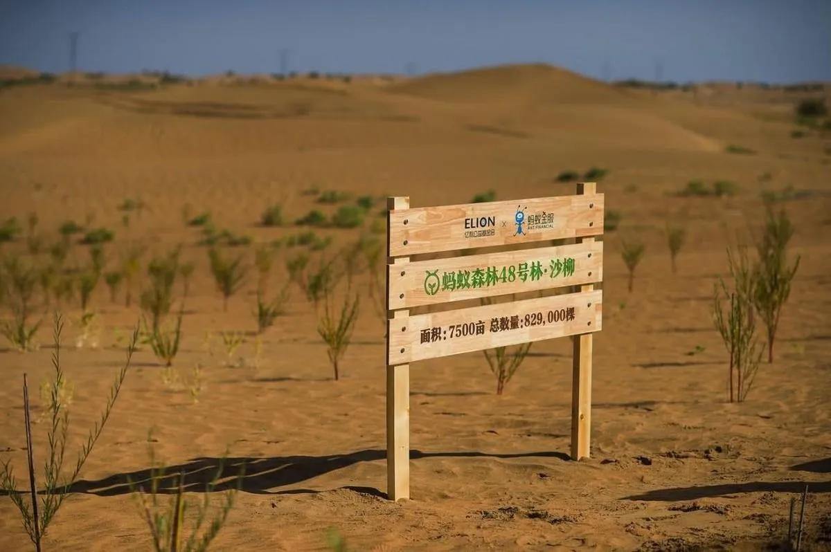 大家发现没有，21世纪很多社会变化都与互联网有关，信号已经很明显了！
 
看到阿