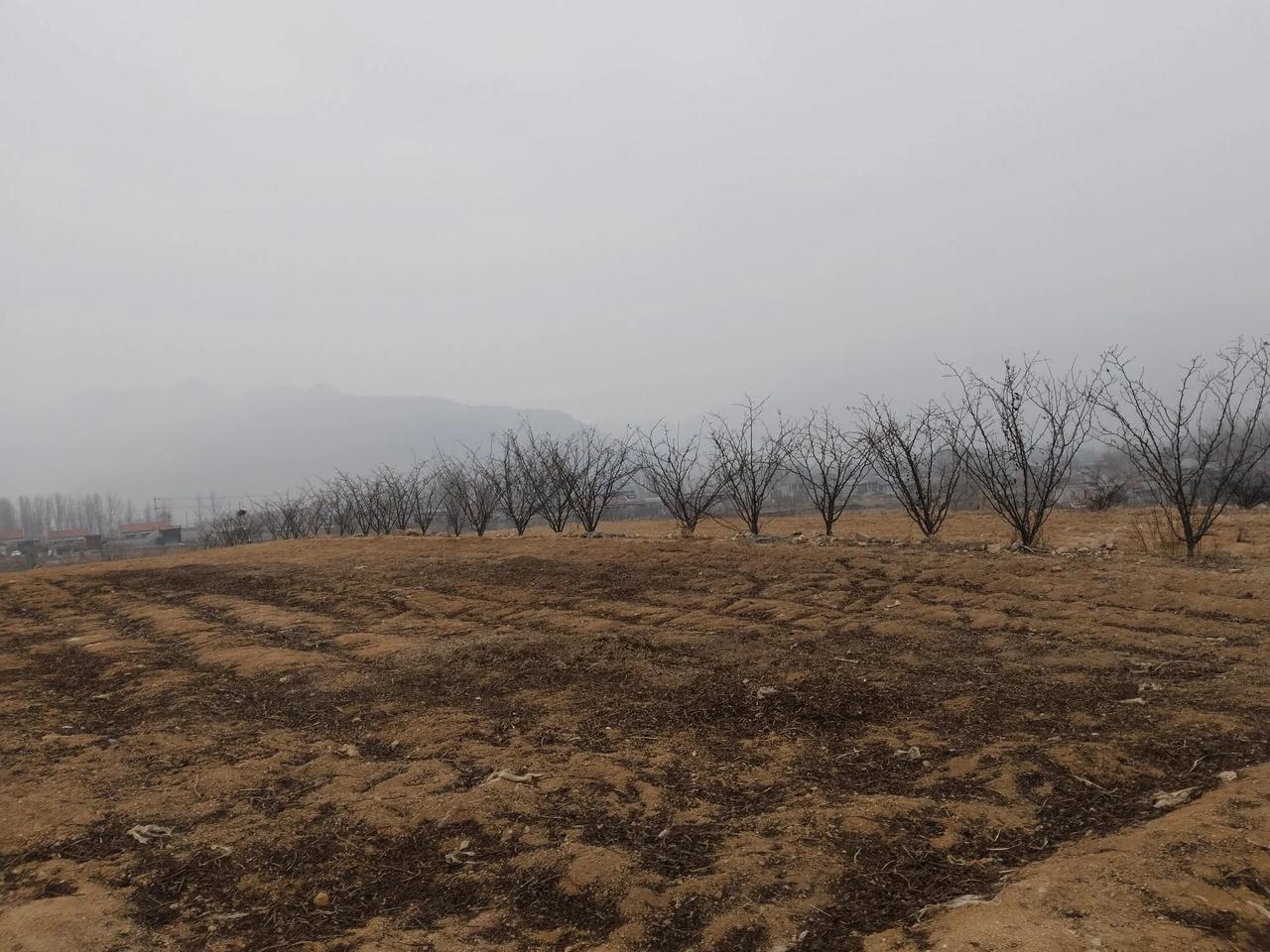 哪一种浪漫会让你感动?好几年没有回老家过年了，今年回家有了一些些变化，好多道路通